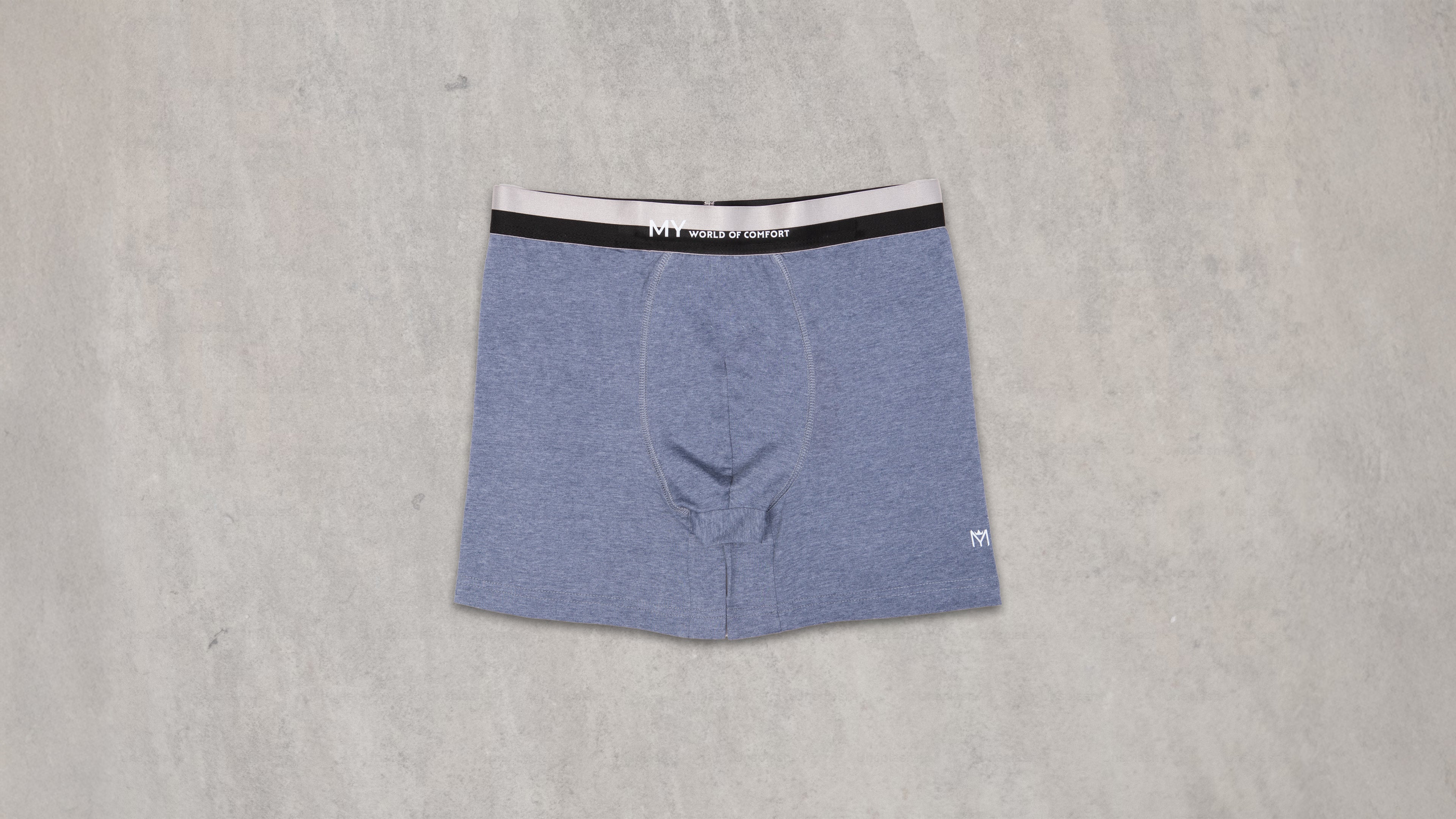 Silver Band Boxer Brief