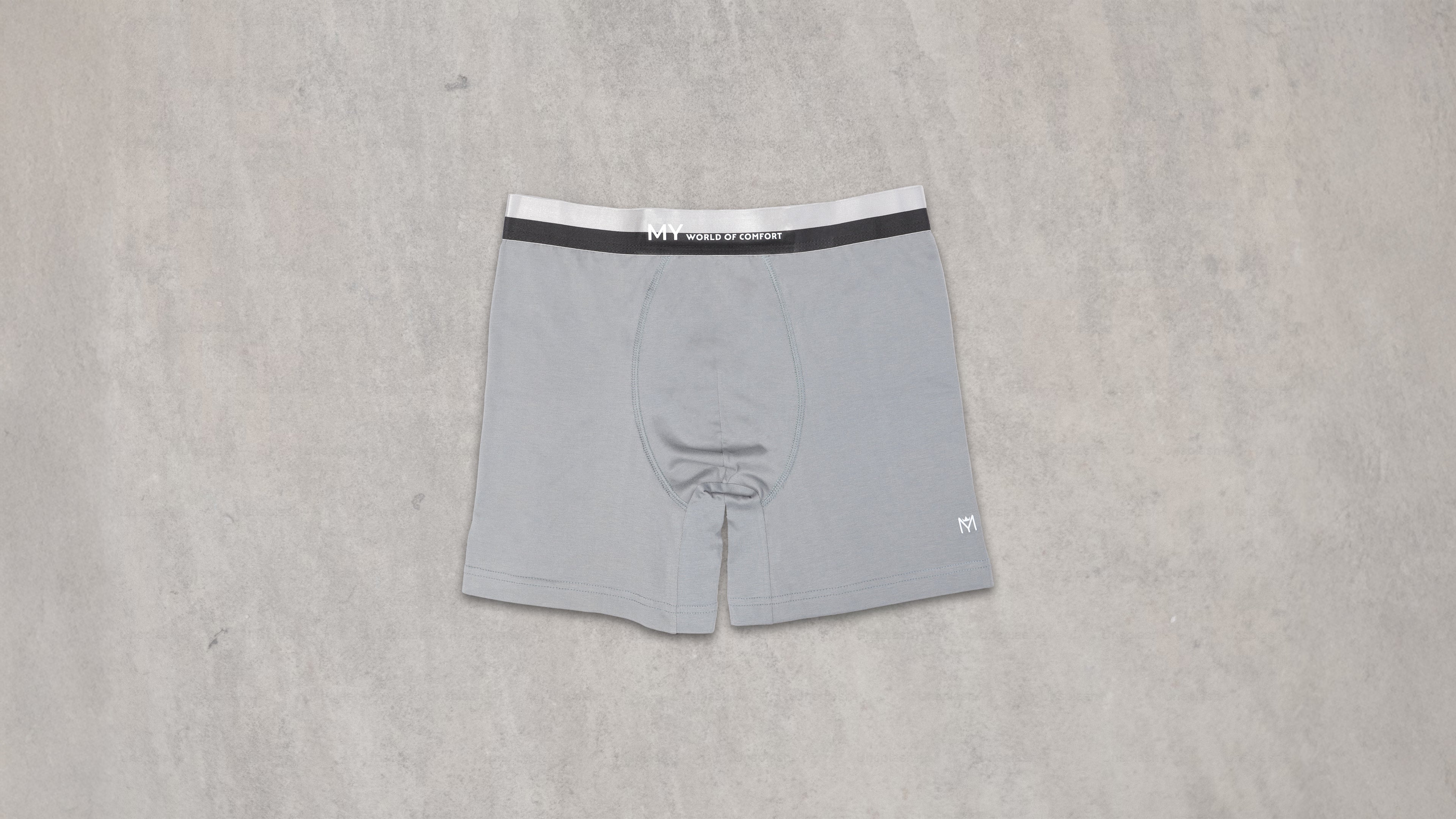 Silver Band Boxer Brief