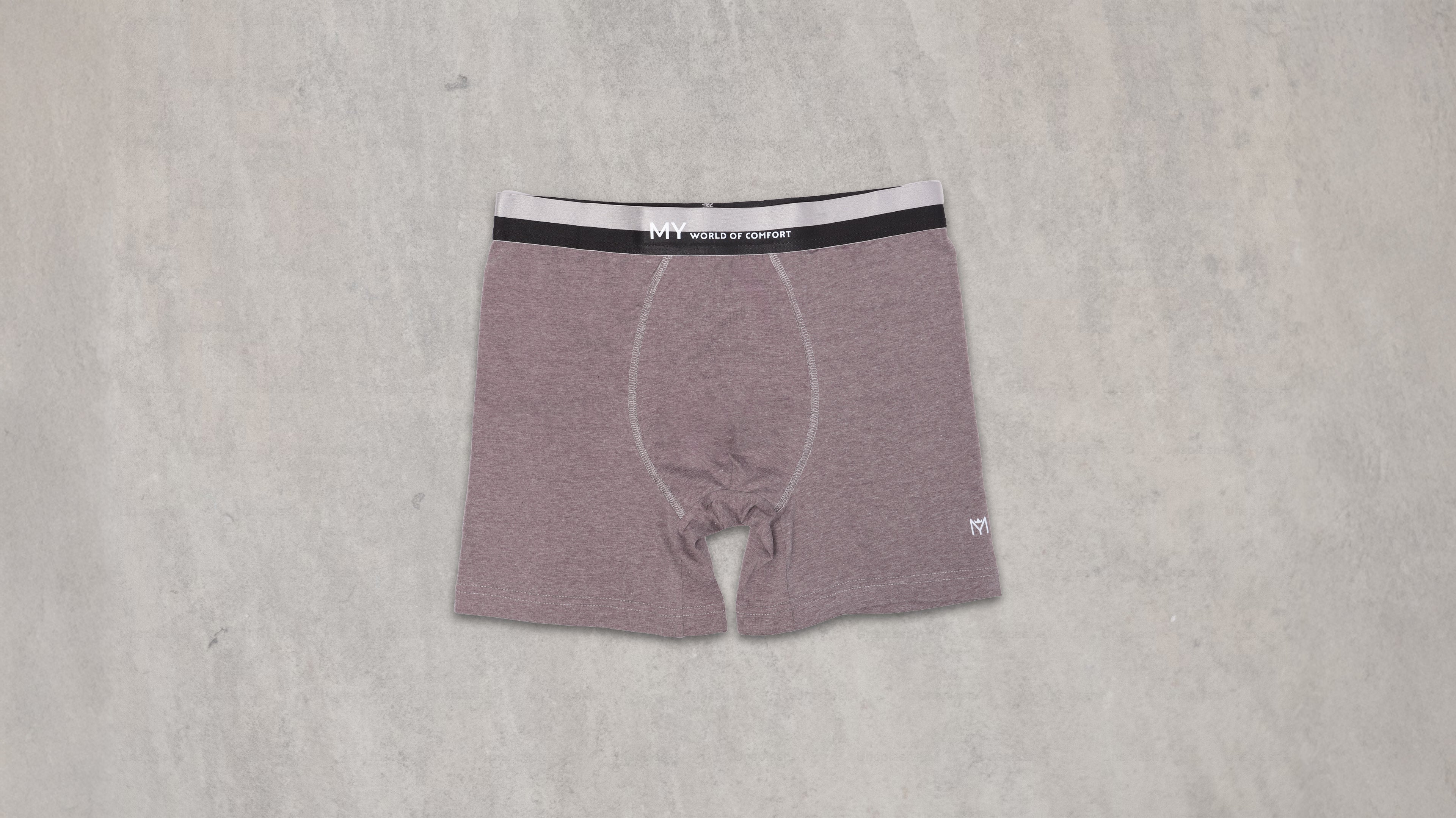 Silver Band Boxer Brief